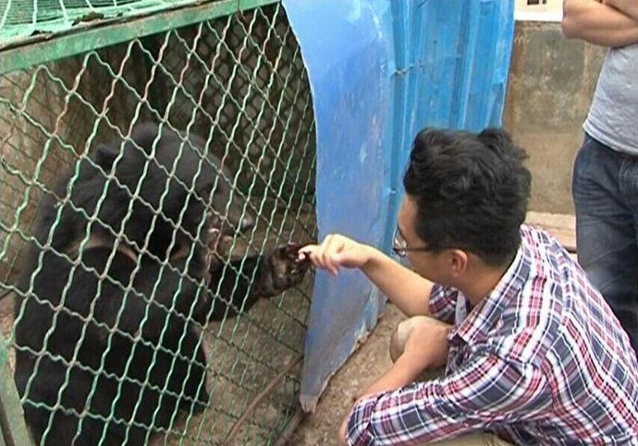 Фотография: Китаец два года принимал медведей за домашних собак №6 - BigPicture.ru