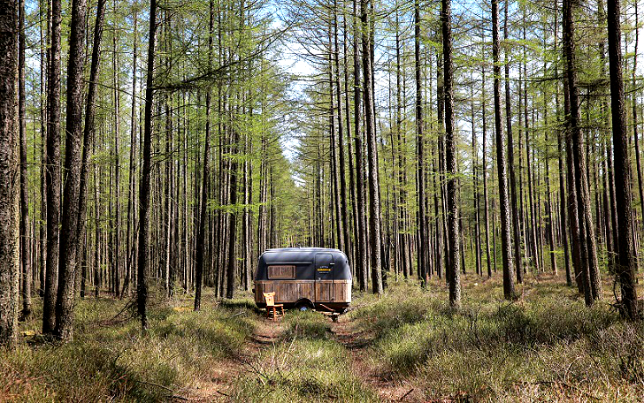 Фотография: Из офиса — в лес! №1 - BigPicture.ru