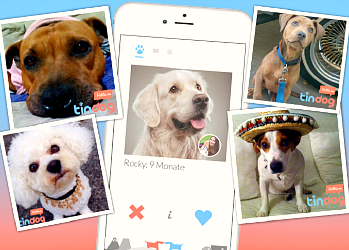 Tinder запустил приложение для знакомств собак