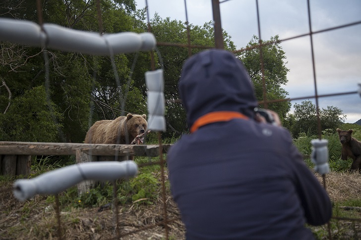 Фотография: Детки в клетке, или Как мы оказались с глазу на глаз с медведями №11 - BigPicture.ru