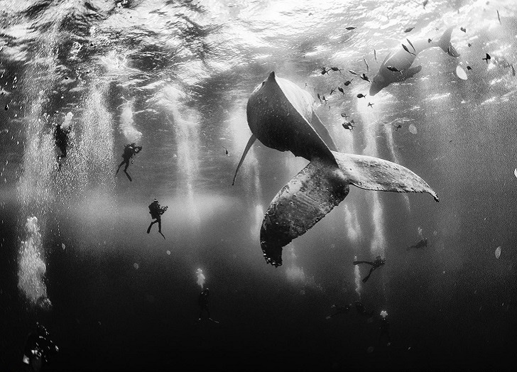 Фотография: Журнал National Geographic назвал победителей ежегодного фотоконкурса для путешественников №2 - BigPicture.ru
