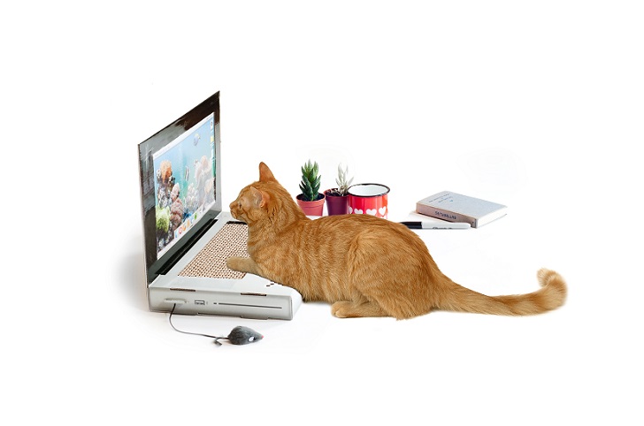 Фотография: Ноутбук для котиков — то, чего вам не хватает №4 - BigPicture.ru