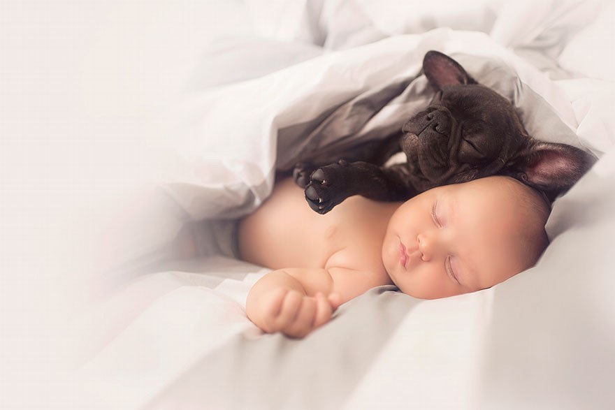 Фотография: Малыш и щенок родились в один день и теперь думают, что они братья №2 - BigPicture.ru