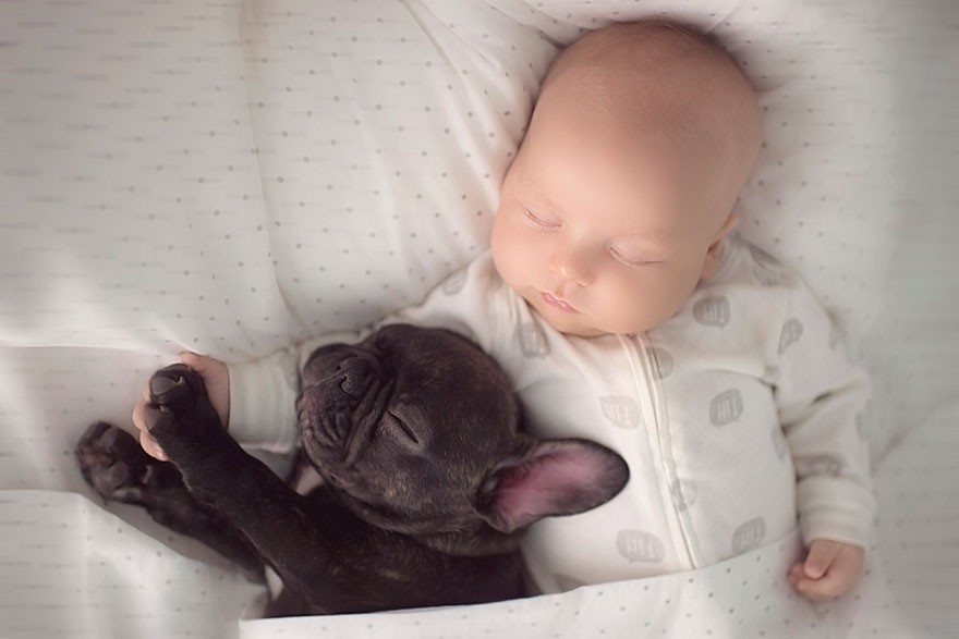Фотография: Малыш и щенок родились в один день и теперь думают, что они братья №4 - BigPicture.ru