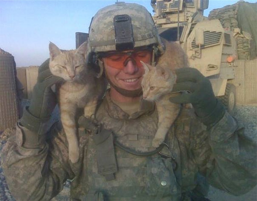 Фотография: 15 солдат со своими... котиками №13 - BigPicture.ru