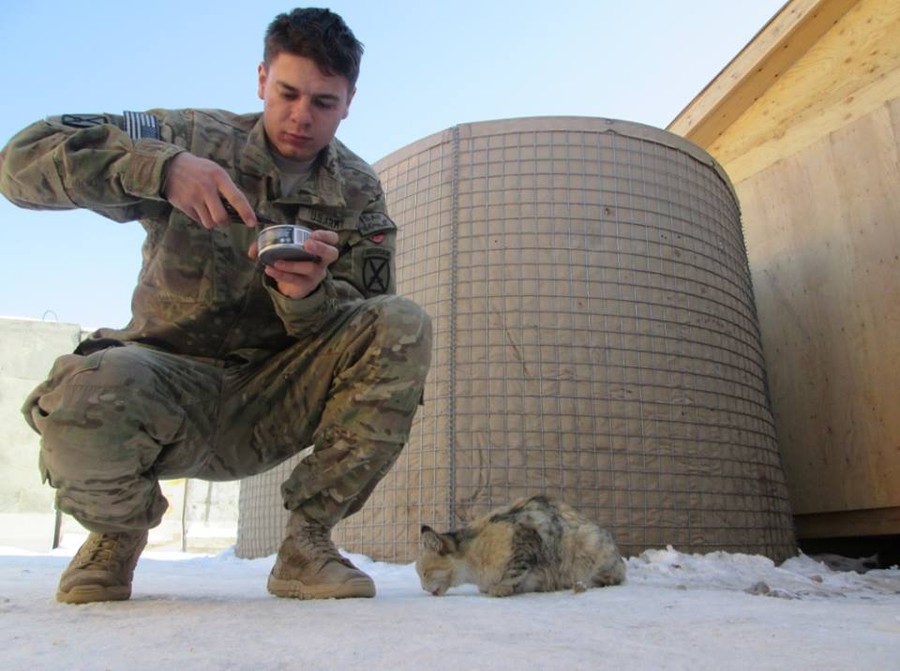 Фотография: 15 солдат со своими... котиками №14 - BigPicture.ru