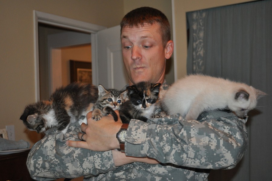Фотография: 15 солдат со своими... котиками №16 - BigPicture.ru