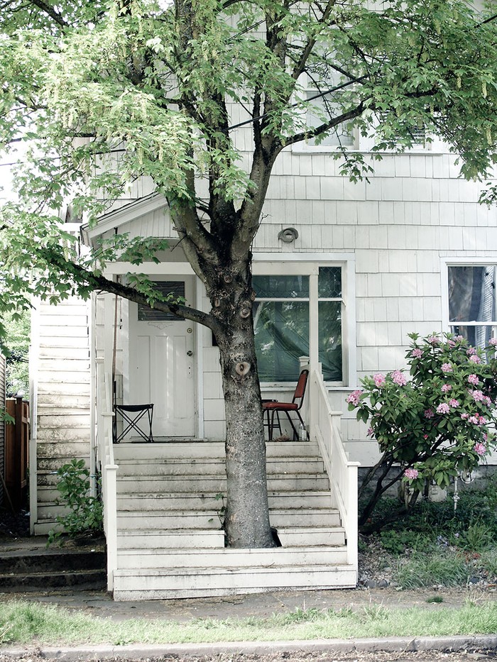 фото домов архитекторы которых отказались спиливать деревья