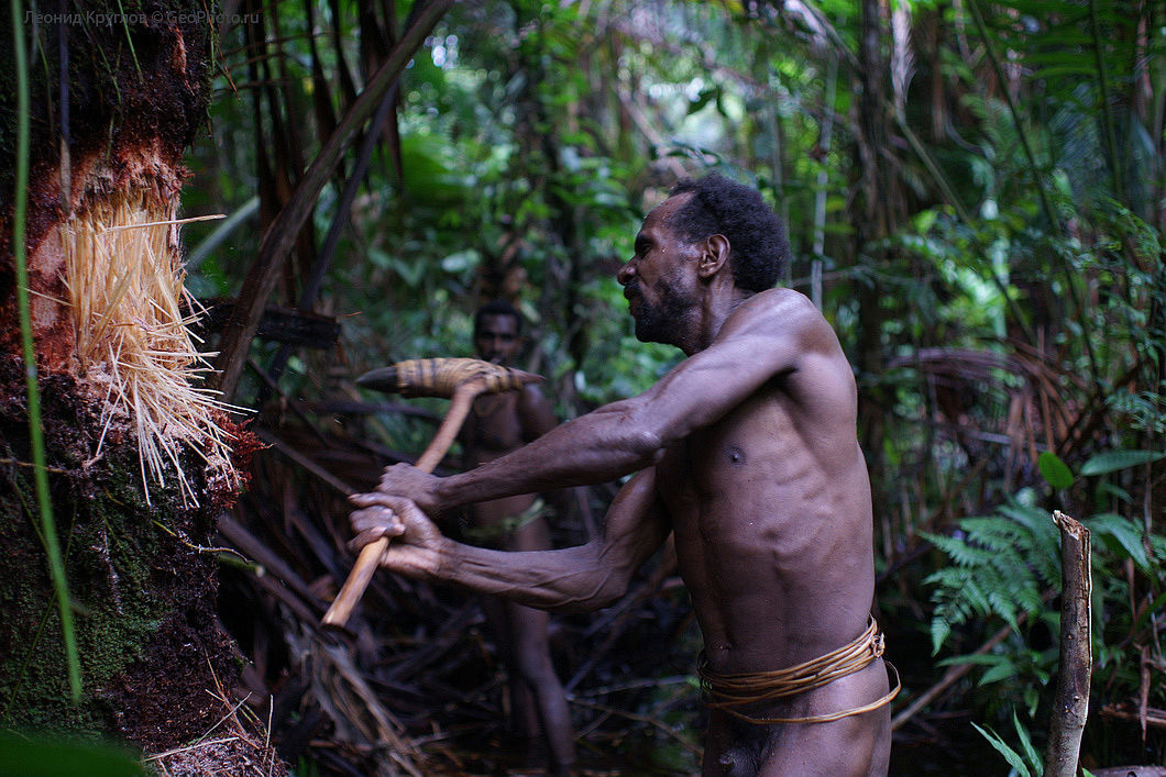 Человек прожил на острове. Племя КОРОВАИ Папуа новая Гвинея. Новая Гвинея. Племя КОРОВАИ. Папуасское племя КОРОВАИ.