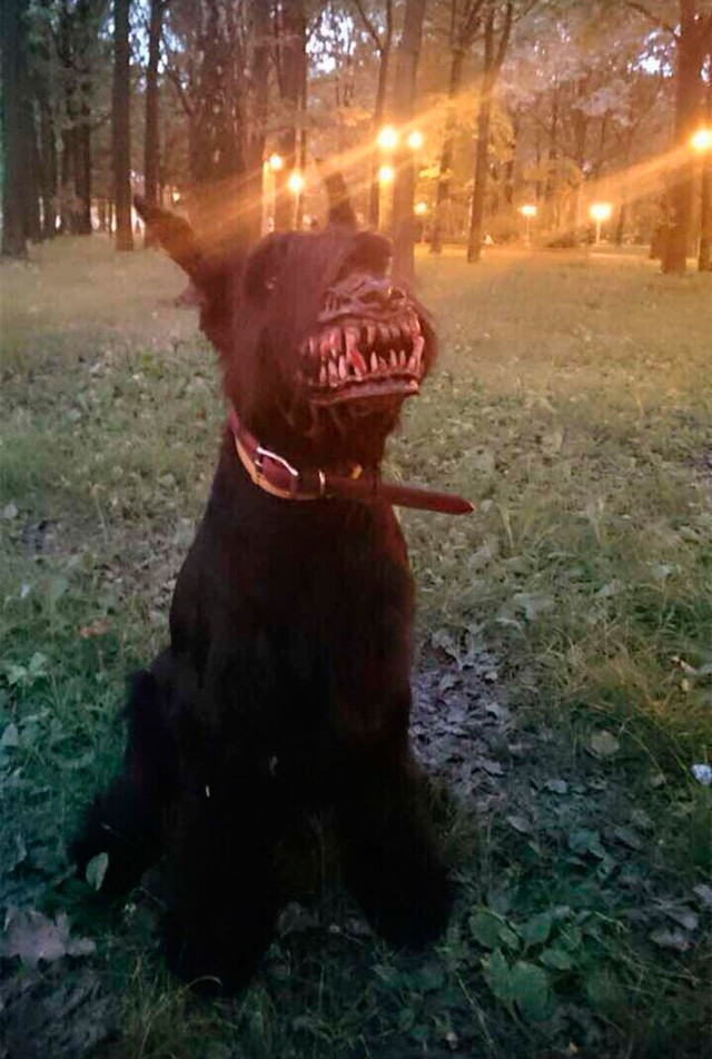 Фотография: Намордник, который превратит самого доброго пса в кровожадного монстра №4 - BigPicture.ru