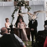 20 фото, снятых в нужный момент, которые заставят вас приглядеться