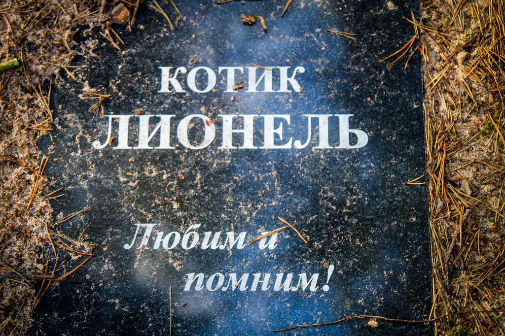 Фотография: Кладбища домашних животных существуют №6 - BigPicture.ru