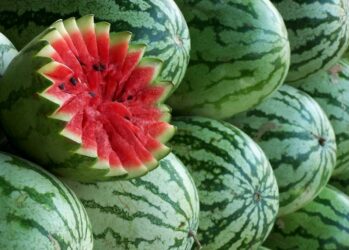 7 самых-самых сортов арбузов. Смотрите не лопните!