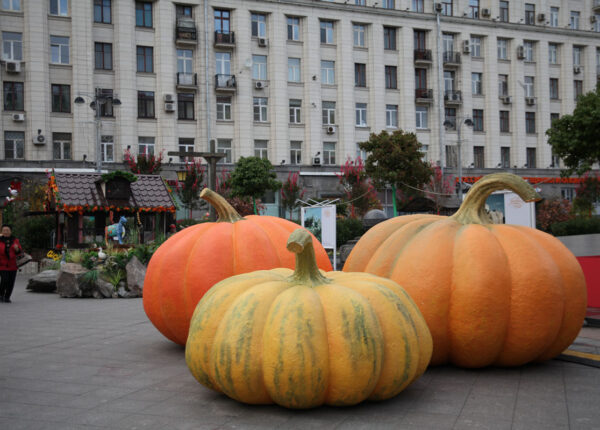 Гастрономическая осень в Москве