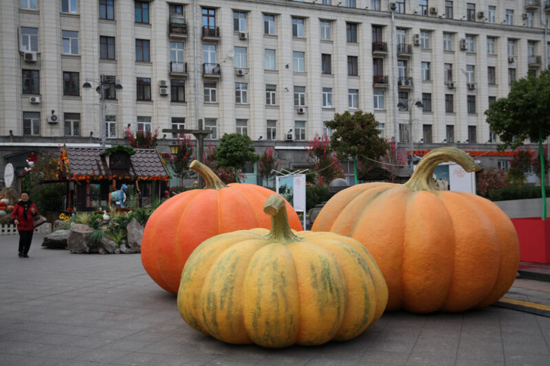 Фотография: Гастрономическая осень в Москве №1 - BigPicture.ru