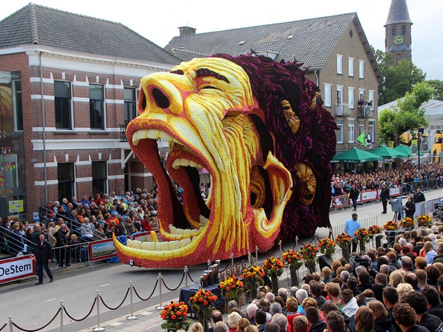 Фотография: Самый крупный в мире парад цветов в Голландии посвятили Ван Гогу №5 - BigPicture.ru