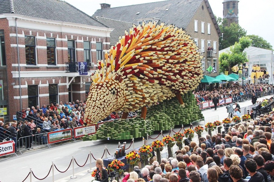 Самый крупный в мире парад цветов в Голландии. ФОТО