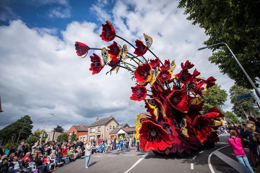 Фотография: Самый крупный в мире парад цветов в Голландии посвятили Ван Гогу №10 - BigPicture.ru