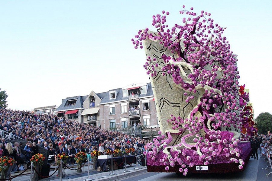 Фотография: Самый крупный в мире парад цветов в Голландии посвятили Ван Гогу №11 - BigPicture.ru