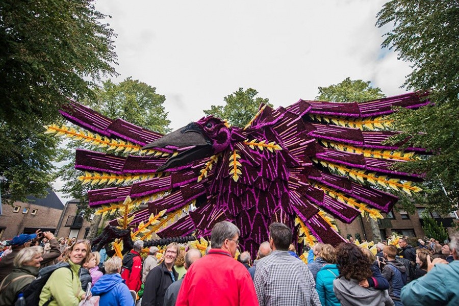 Фотография: Самый крупный в мире парад цветов в Голландии посвятили Ван Гогу №13 - BigPicture.ru