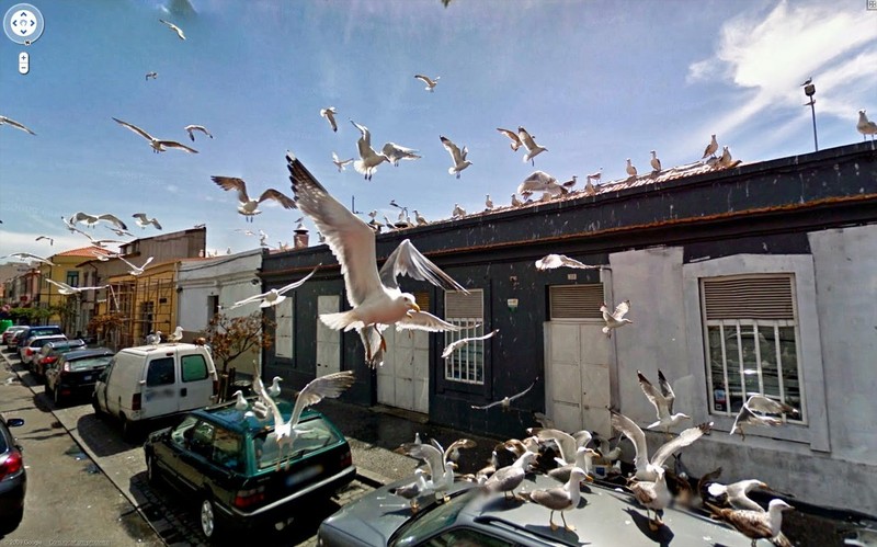 Фотография: 25 самых безумных кадров, сделанных на камеры Google Street View №9 - BigPicture.ru