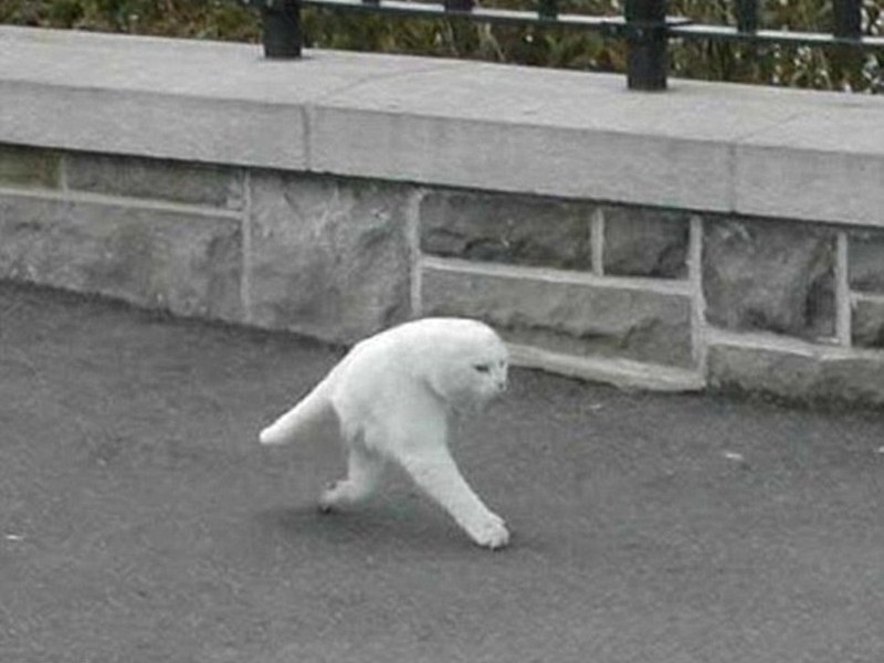 Фотография: 25 самых безумных кадров, сделанных на камеры Google Street View №23 - BigPicture.ru