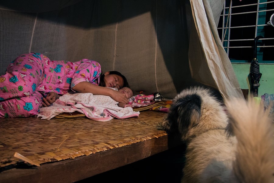 Фотография: Трогательная история о девушке, которая спасает бездомных собак №21 - BigPicture.ru