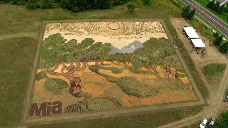 Фотография: Художник воссоздал картину Ван Гога на поле площадью 5000 квадратных метров №1 - BigPicture.ru