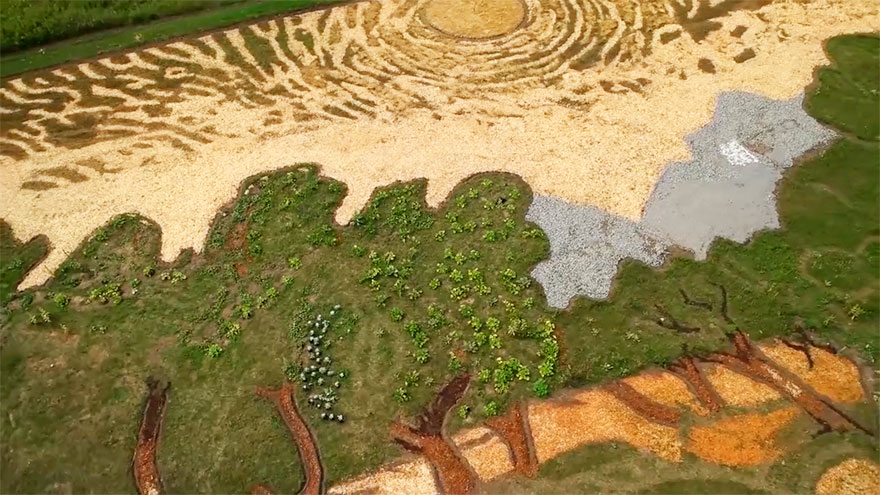 Фотография: Художник воссоздал картину Ван Гога на поле площадью 5000 квадратных метров №6 - BigPicture.ru