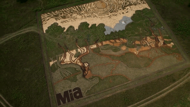 Фотография: Художник воссоздал картину Ван Гога на поле площадью 5000 квадратных метров №7 - BigPicture.ru