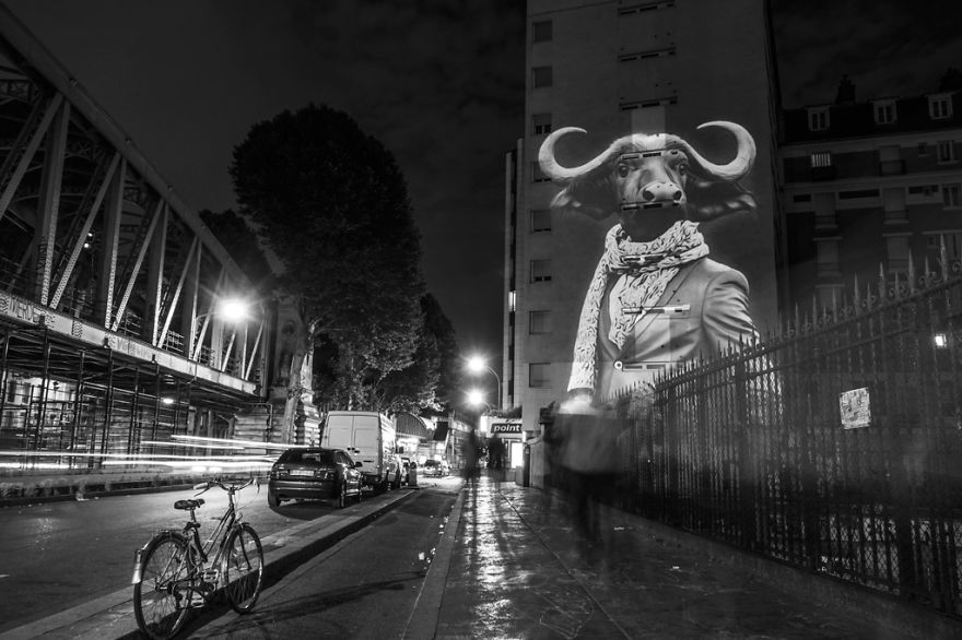 Дикий Париж: стильный проект «Урбанистическое сафари» Жюльена Ноннона
