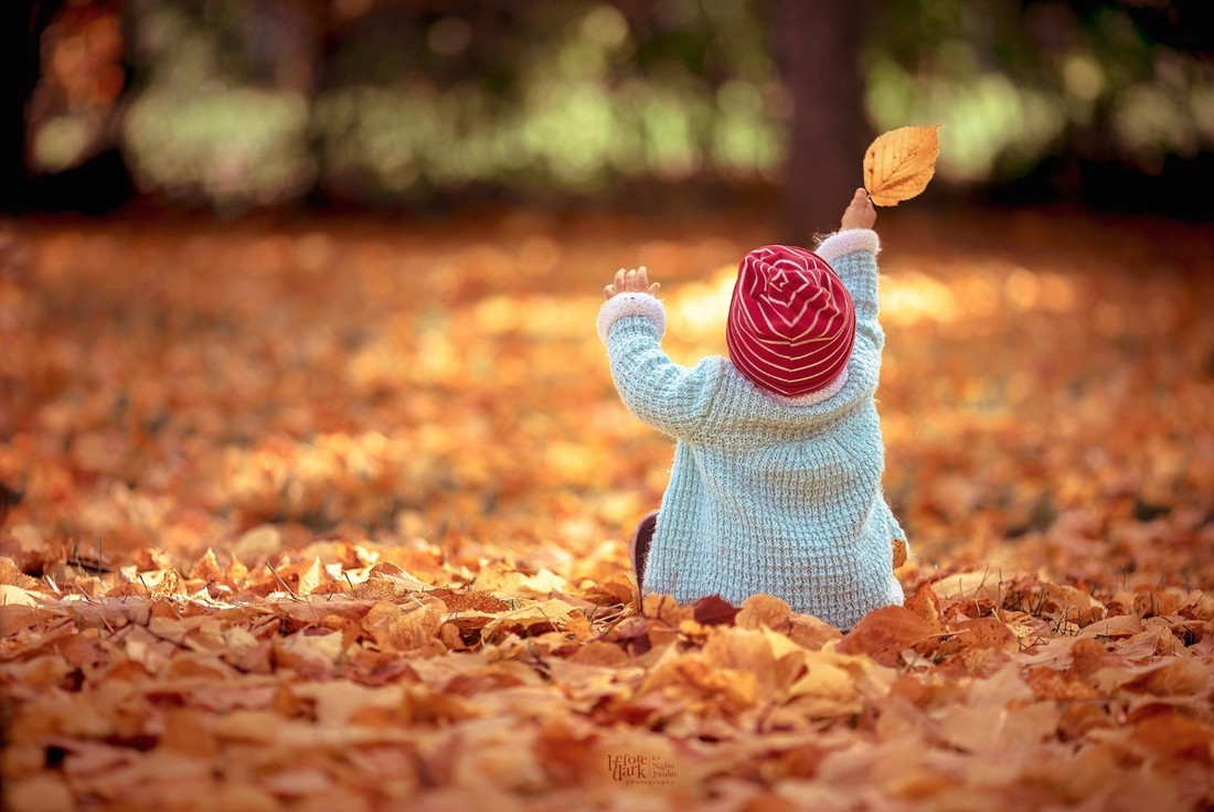 Фотография: 20 фотографий, на которых осень фантастически прекрасна №15 - BigPicture.ru