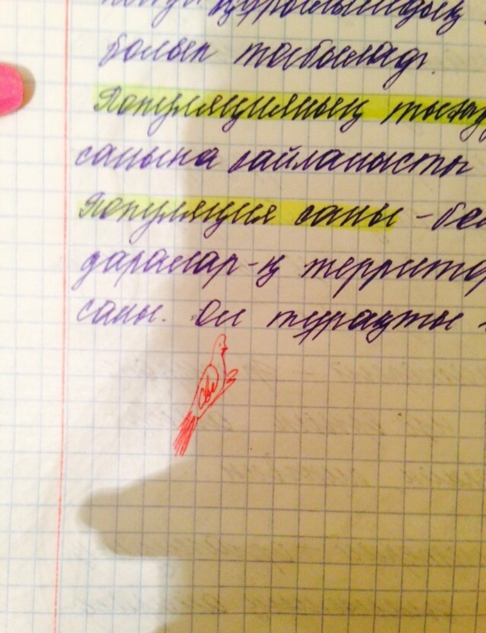 Фотография: Когда учителя действительно круты №16 - BigPicture.ru