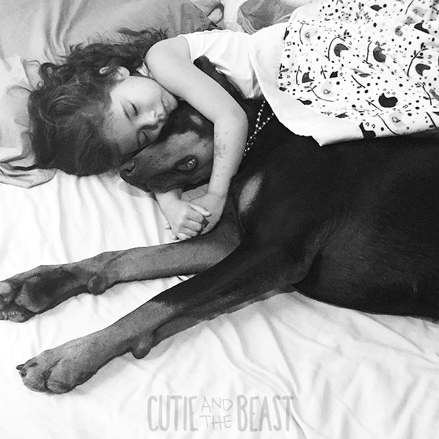 Фотография: Красавица и чудовище: удивительная дружба крошечной девочки с гигантским доберманом №7 - BigPicture.ru