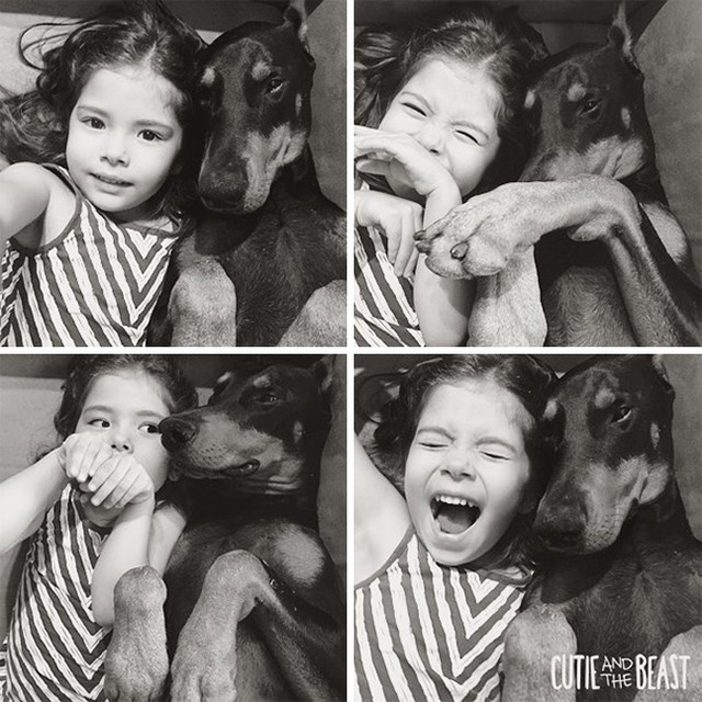 Фотография: Красавица и чудовище: удивительная дружба крошечной девочки с гигантским доберманом №16 - BigPicture.ru