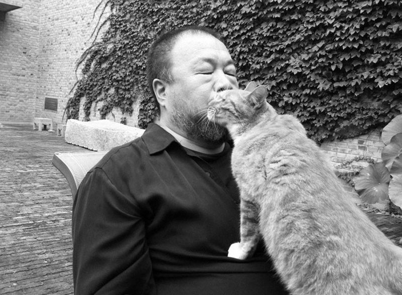 Фотография: За каждым великим человеком стоит кот №2 - BigPicture.ru