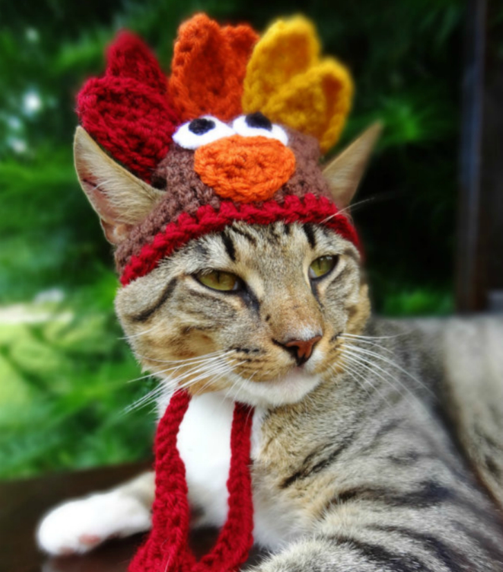 Фотография: Вашему котику нужна такая шапочка! №10 - BigPicture.ru