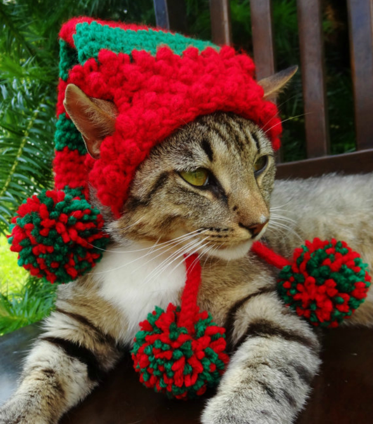 Фотография: Вашему котику нужна такая шапочка! №3 - BigPicture.ru