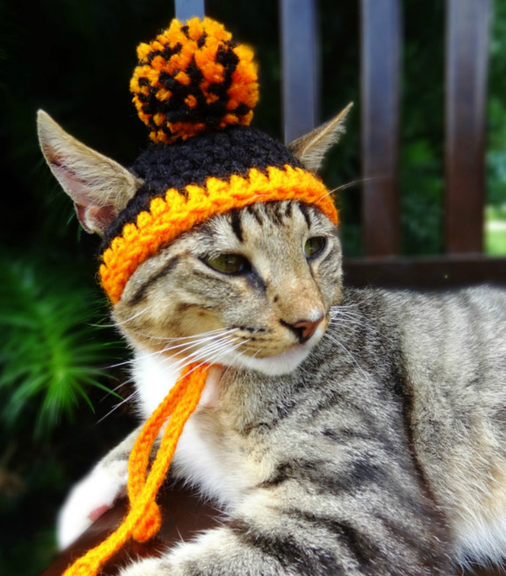 Фотография: Вашему котику нужна такая шапочка! №8 - BigPicture.ru