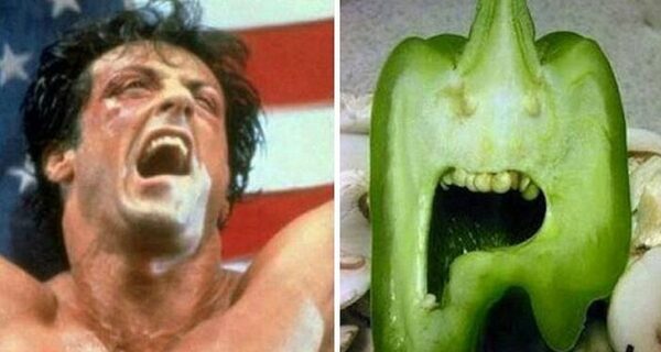 40 людей и вещей, схожесть которых зашкаливает