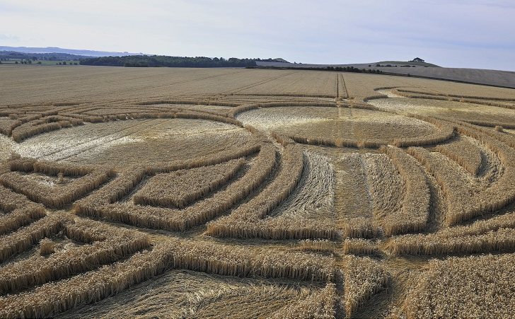 Фотография: Загадочные круги на полях в графстве Уилтшир №9 - BigPicture.ru