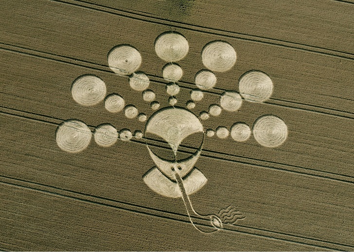 Фотография: Загадочные круги на полях в графстве Уилтшир №10 - BigPicture.ru