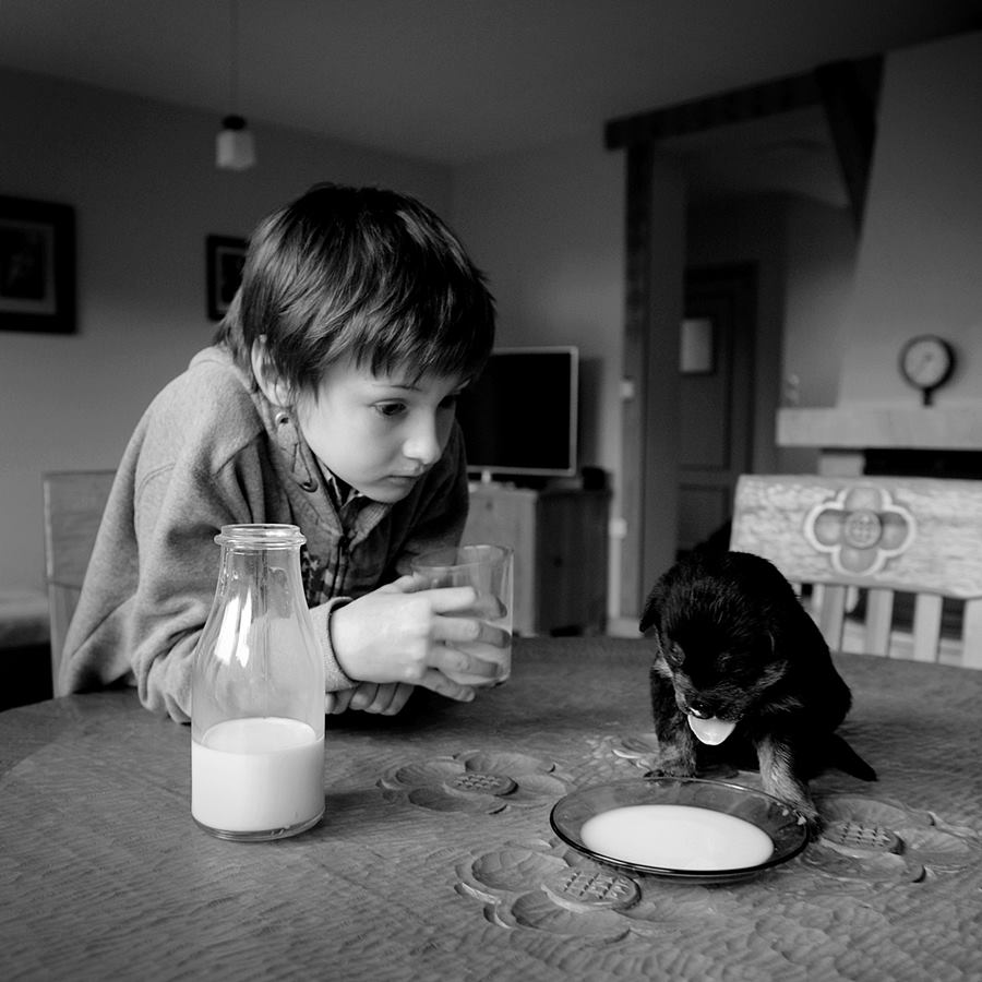 Фотография: Черно-белая идиллия от Себастьяна Лучиво №18 - BigPicture.ru