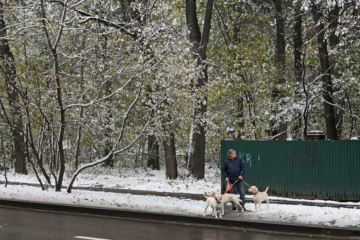 Фотография: Первый снегопад в Москве в этом году №27 - BigPicture.ru