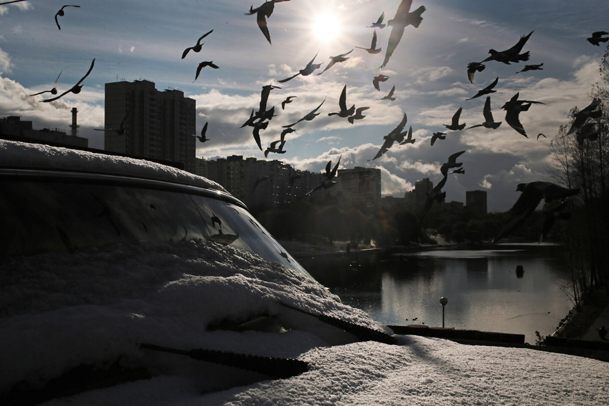 Фотография: Первый снегопад в Москве в этом году №4 - BigPicture.ru
