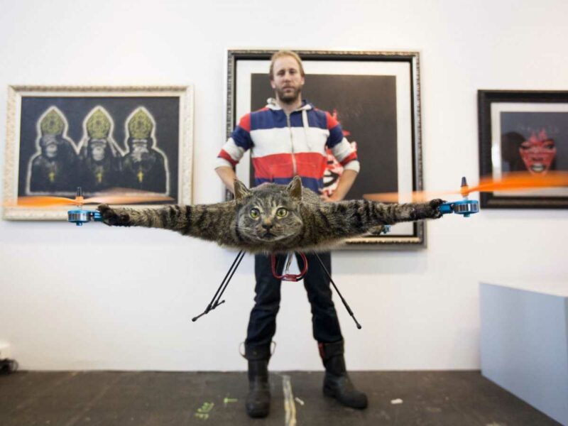 Фотография: Художник, превративший своего мертвого кота в дрон, сейчас строит вертолет из коровы №1 - BigPicture.ru