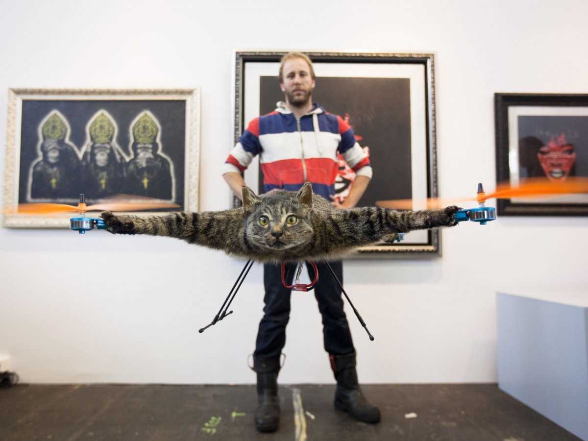 Фотография: Художник, превративший своего мертвого кота в дрон, сейчас строит вертолет из коровы №3 - BigPicture.ru