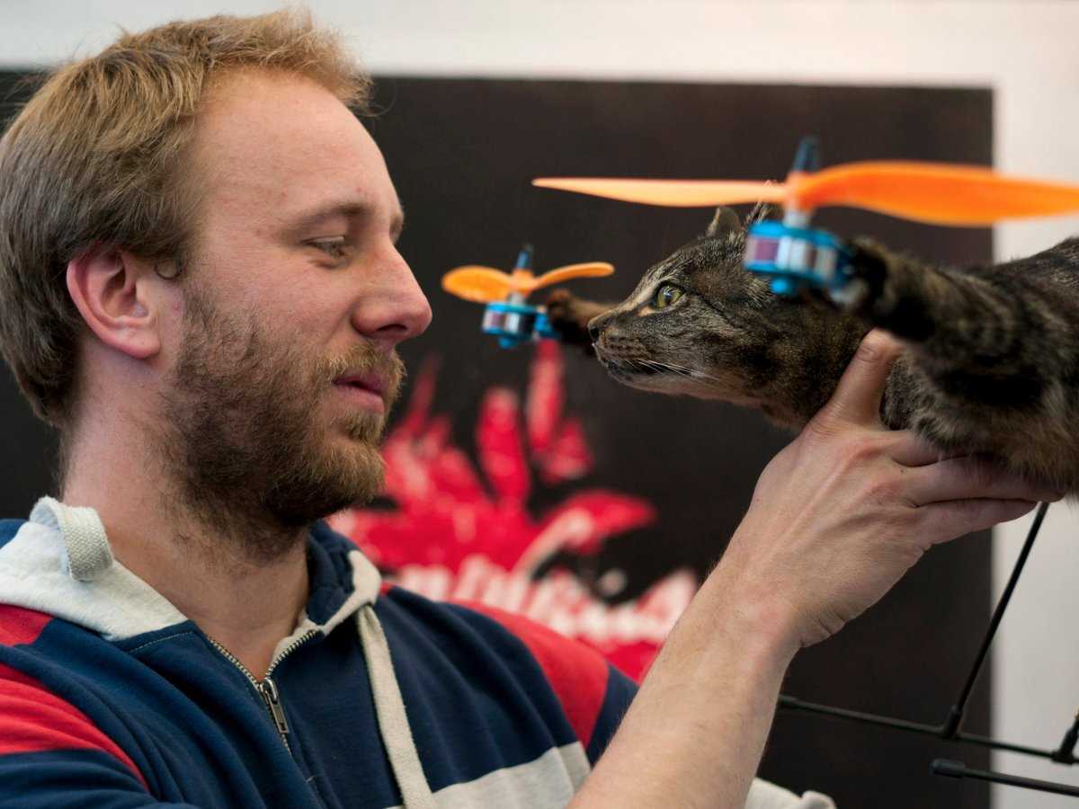 Фотография: Художник, превративший своего мертвого кота в дрон, сейчас строит вертолет из коровы №23 - BigPicture.ru