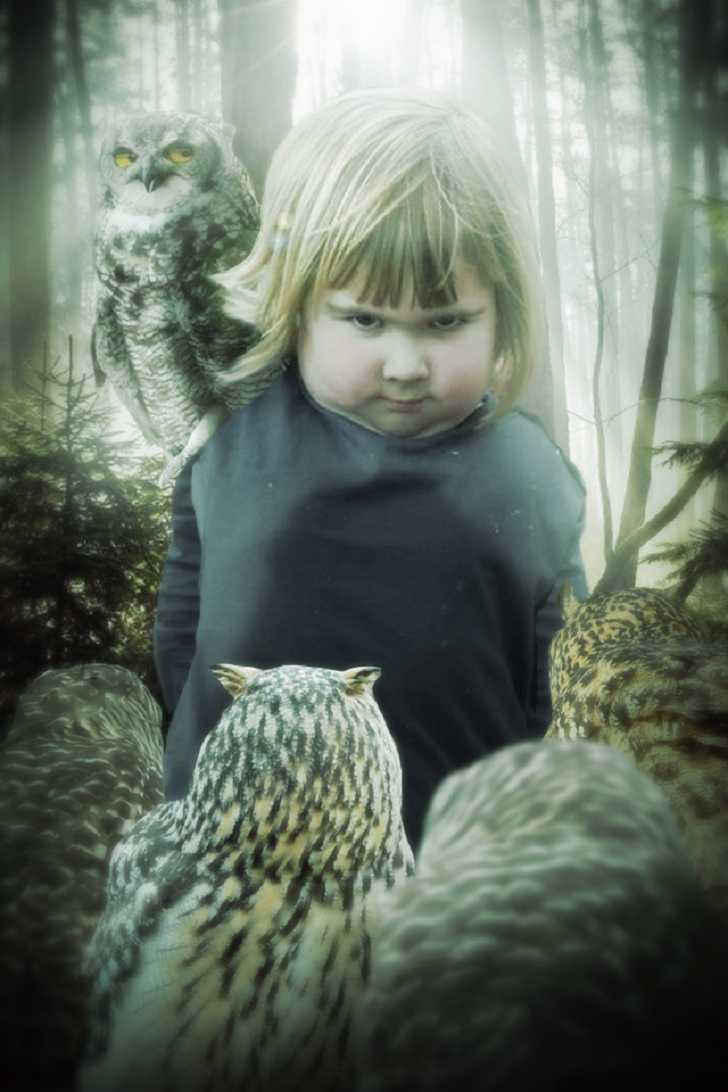 Фотография: Пользователи Reddit оттоптались на демонической девочке с совой №13 - BigPicture.ru