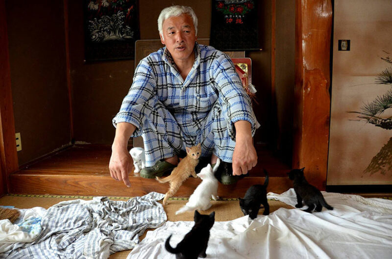 Фотография: Японец вернулся в зараженную зону Фукусимы, чтобы кормить брошенных там животных №1 - BigPicture.ru